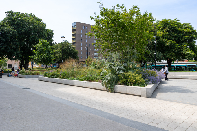 Something is changing in Chatham, and more people are starting to notice